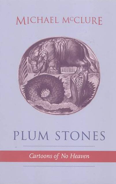 plum stones