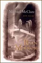 Rain Mirror